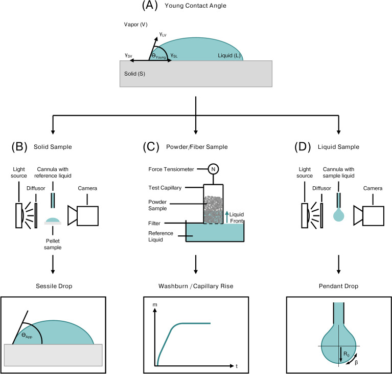 The impact of binder polarity on the properties of aqueously processed positive and negative electrodes for lithium-ion batteries.