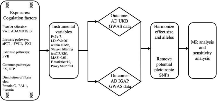 The effects of coagulation factors on the risk of Alzheimer's disease: A Mendelian randomization study.
