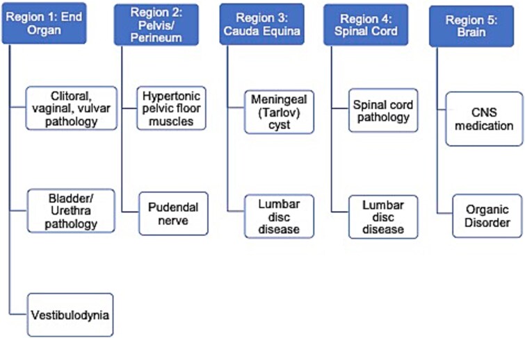 Application of International Society for the Study of Women's Sexual Health consensus algorithm for persistent genital arousal disorder/genito-pelvic dysesthesia to 10 cases and use of epidural spinal injections as long term management.