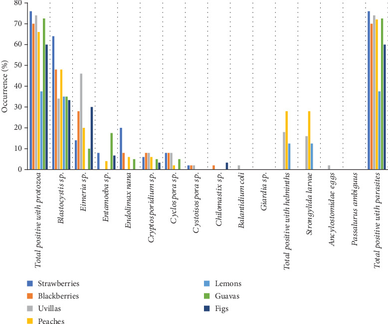 Protozoan and Helminth Contamination in Ecuadorian Agricultural Products: Dominance of <i>Blastocystis</i> sp.
