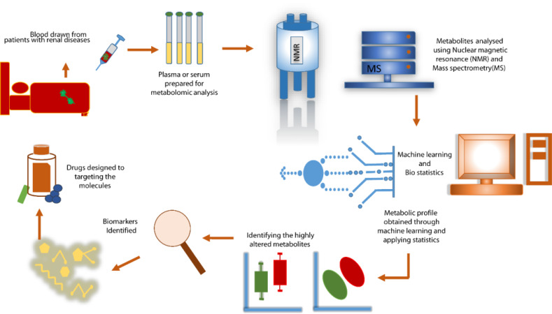 Metabolomics for the Identification of Biomarkers in Kidney Diseases.