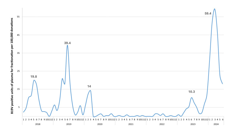 Comprehensive analysis of parvovirus B19 infection in blood donors: epidemiological trend and implications for transfusion safety and management strategies in Italy.