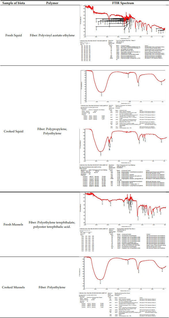 Environmental health risk analysis of microplastics due to consumption of squid and mussels at coastal area.