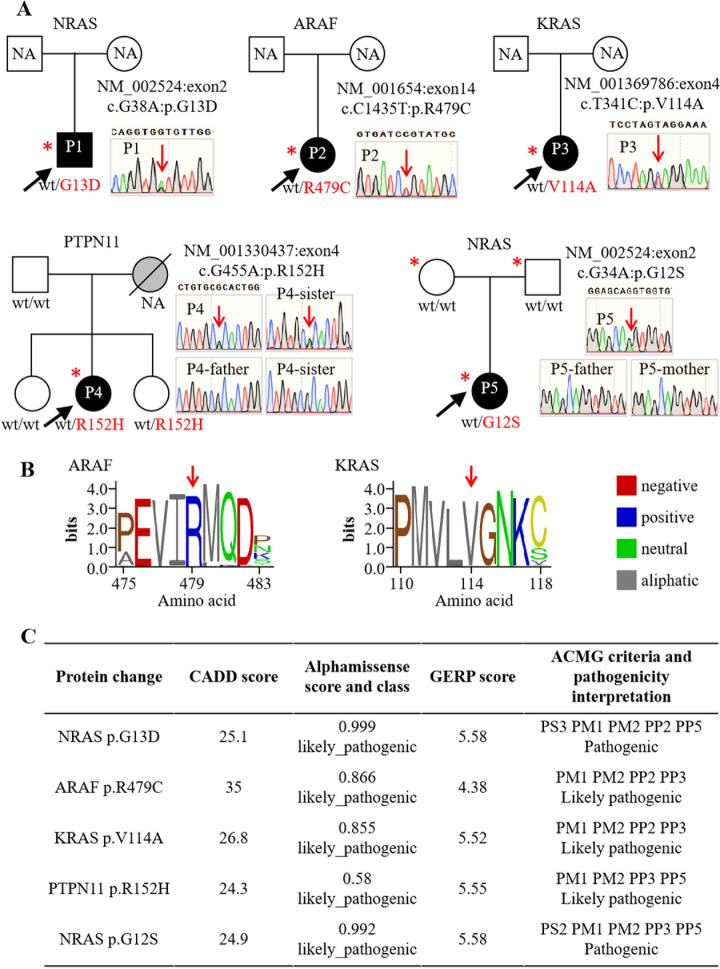 Ras-MAPK pathway in patients with lupus nephritis.
