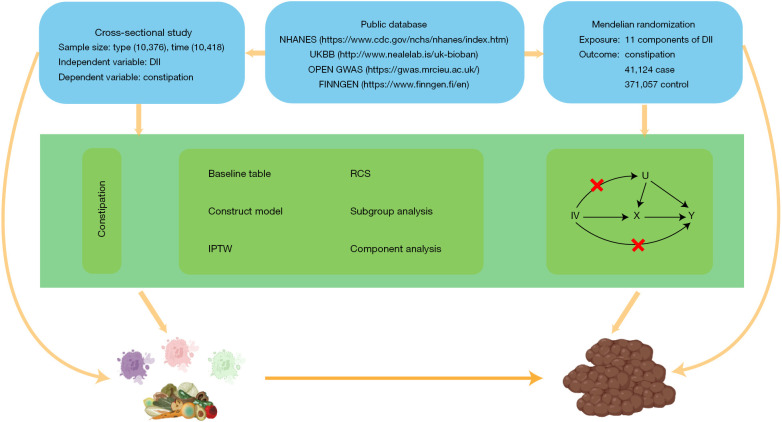 Non-linear relationship between Dietary Inflammatory Index and constipation: threshold identification and insights from NHANES [2005-2010] and Mendelian randomization analysis.