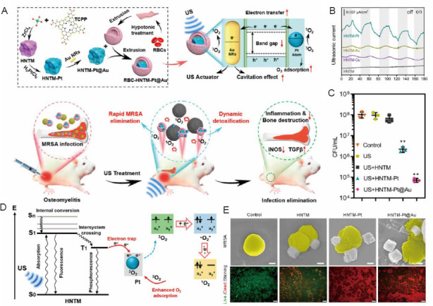 Antibacterial sonodynamic nanomedicine: mechanism, category, and applications.