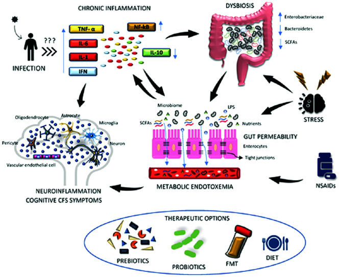 The microbiota-gut-brain axis in myalgic encephalomyelitis/chronic fatigue syndrome: a narrative review of an emerging field.