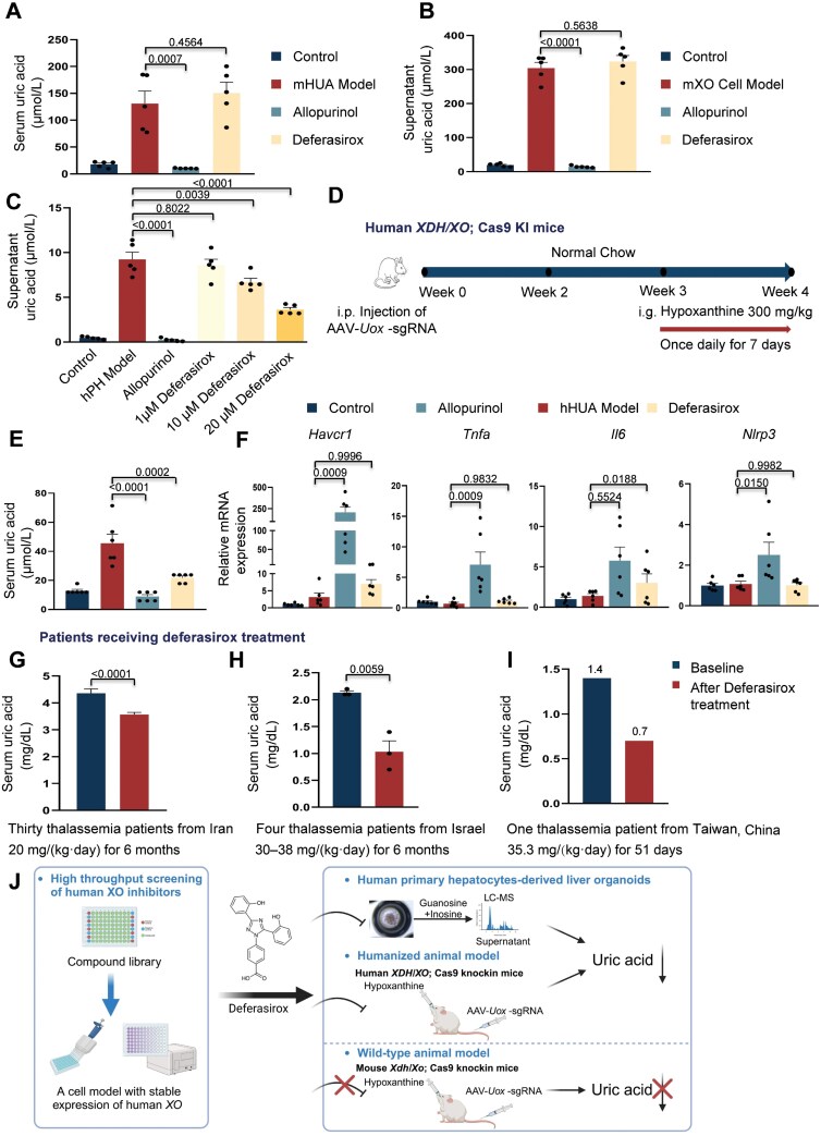 Identification of deferasirox as a human xanthine oxidase inhibitor.