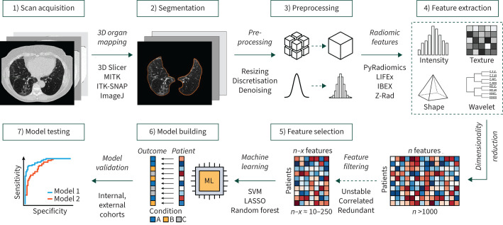 From images to clinical insights: an educational review on radiomics in lung diseases.