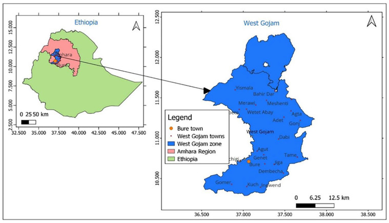 Personal Protective Equipment Utilization and Determinant Factors Among Workers in Phibela Edible Oil Factory, West Gojjam, Ethiopia.
