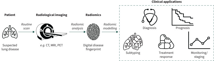 From images to clinical insights: an educational review on radiomics in lung diseases.
