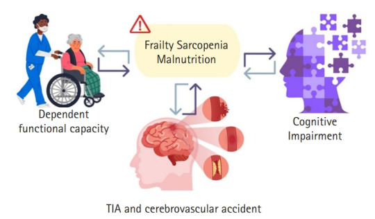 Co-occurrence of Frailty, Possible Sarcopenia, and Malnutrition in Community-Dwelling Older Outpatients: A Multicentre Observational Study.