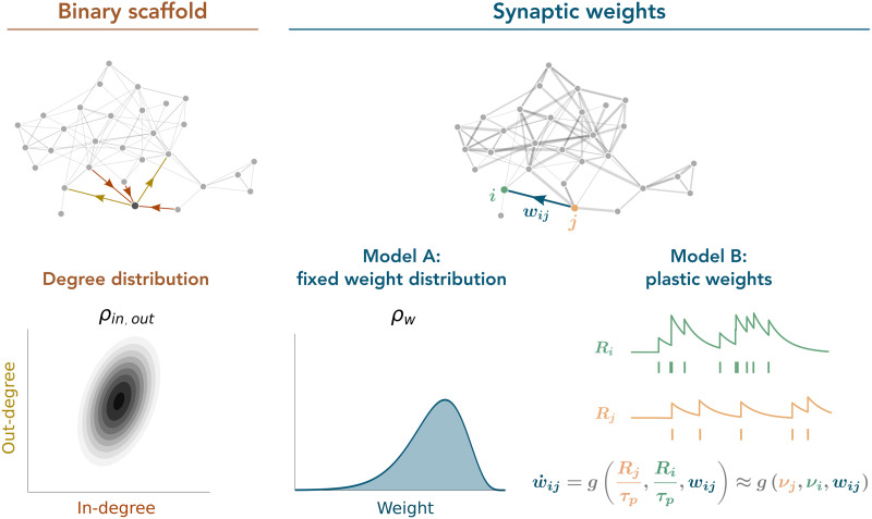Firing rate distributions in plastic networks of spiking neurons.