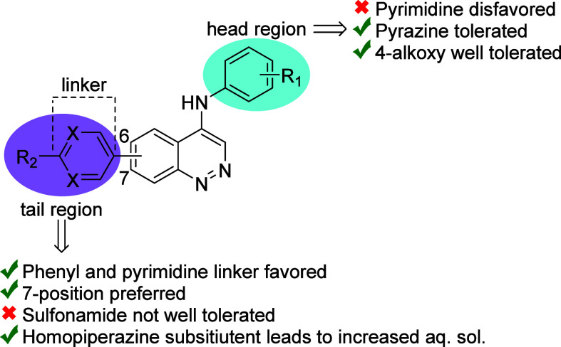 Identification of Substituted 4-Aminocinnolines as Broad-Spectrum Antiparasitic Agents.
