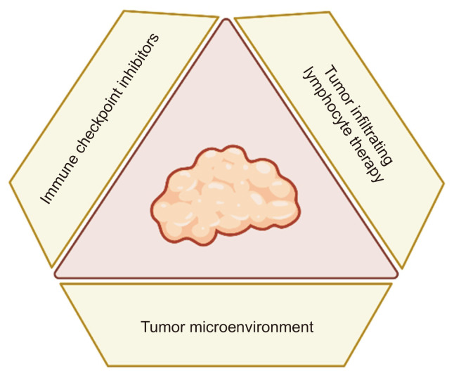 Therapeutic Strategies for Drug-resistant Melanoma and Their Clinical Implications.