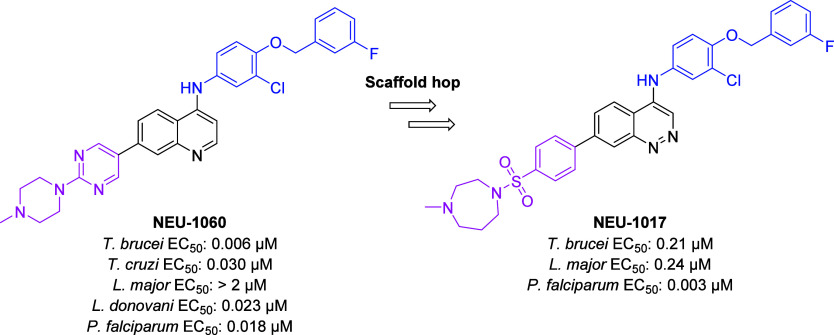 Identification of Substituted 4-Aminocinnolines as Broad-Spectrum Antiparasitic Agents.