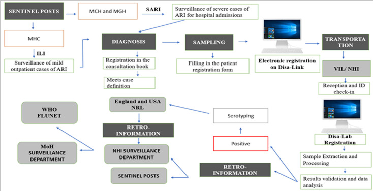 The influenza virus sentinel surveillance: results of system evaluation in Mozambique, 2016-2021.