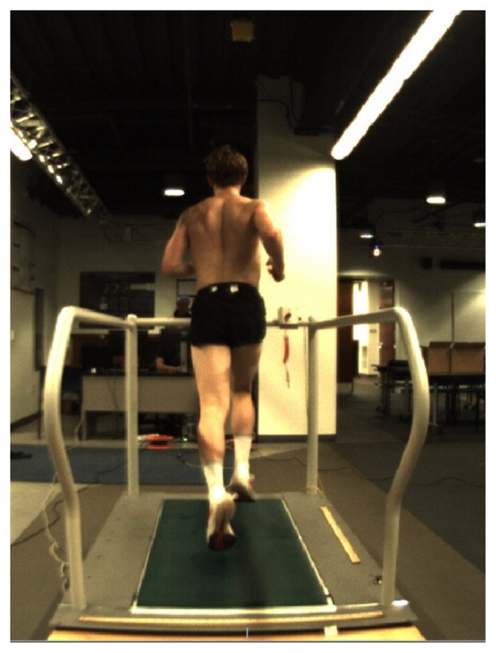 The Effects of Intermittent Sprint Training on Running Economy and Leg Stiffness in Highly Trained Runners.