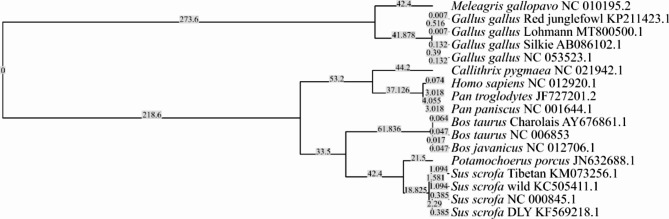 Metabolic pathways associated with Firmicutes prevalence in the gut of multiple livestock animals and humans.
