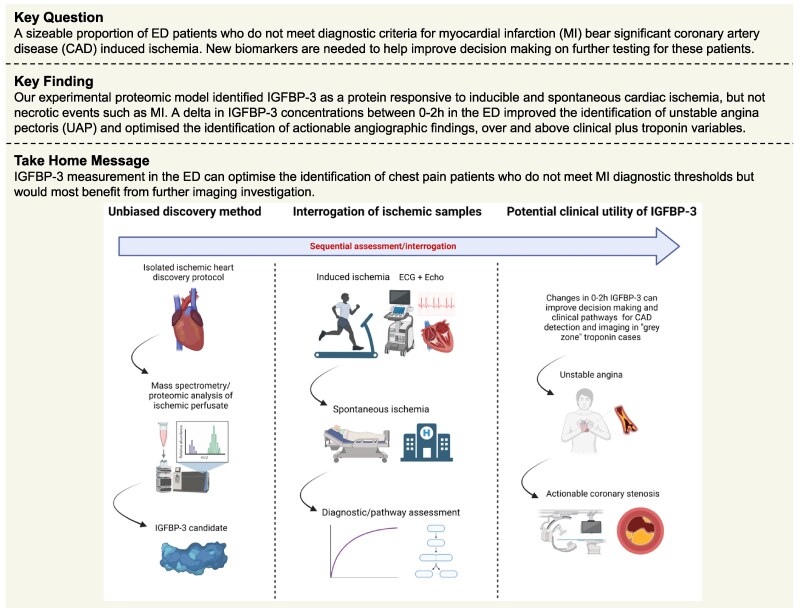 Insulin-like growth factor binding protein-3 (IGFBP-3): a biomarker of coronary artery disease induced myocardial ischaemia.
