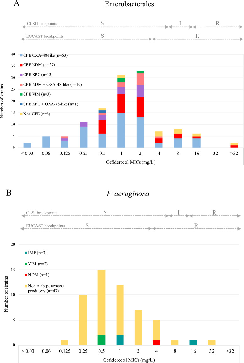 TROJAN-MDR: in vitro activity of cefiderocol and comparators against multidrug-resistant Enterobacterales and Pseudomonas aeruginosa strains in Southern France, evaluation of available testing methods performances.