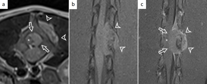 Lumbar round cell sarcoma in a 10-week-old rottweiler puppy.