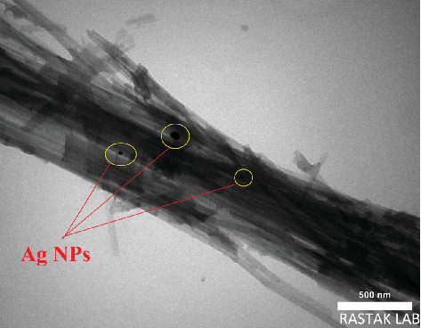 Synthesis of a Novel Sepiolite-Ag-Propolis Nanocomposite and Its Effect on the Growth of <i>Aspergillus flavus</i>.