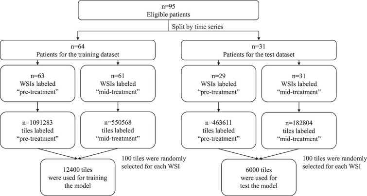 Development of a deep learning-based model to evaluate changes during radiotherapy using cervical cancer digital pathology.