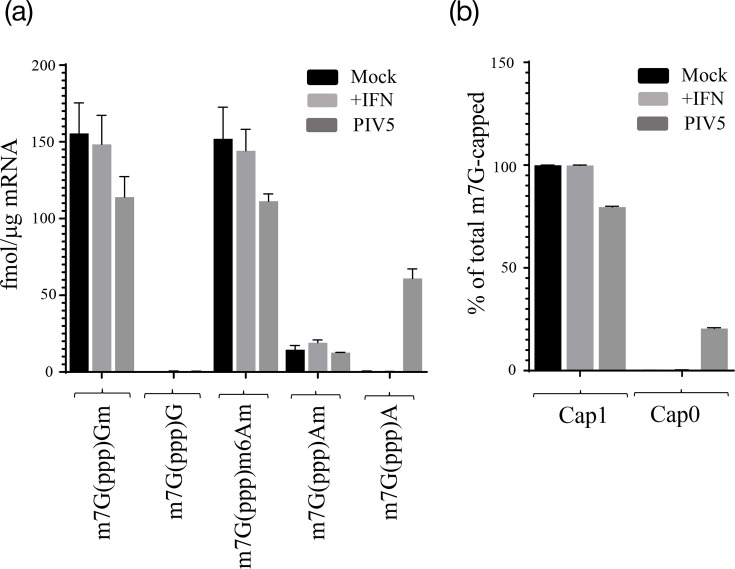 The Cap-proximal secondary structures of the 5'UTRs of parainfluenza virus 5 mRNAs specify differential sensitivity to type I interferon and IFIT1.