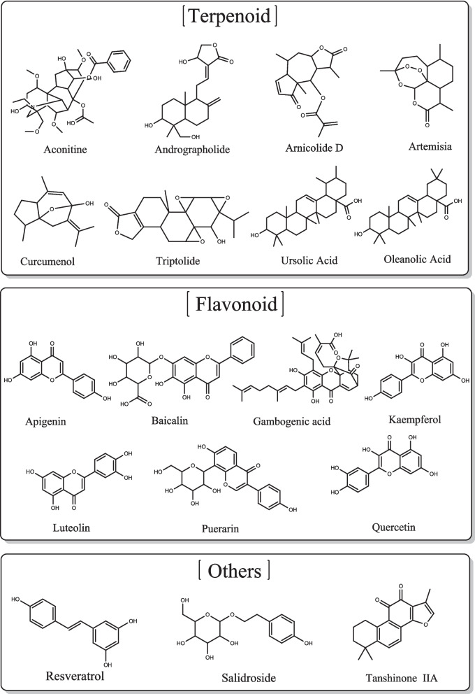 Insights into emerging mechanisms of ferroptosis: new regulators for cancer therapeutics.