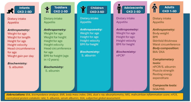 Nutrition Compass: Guiding Patients with Chronic Kidney Disease Across Ages.