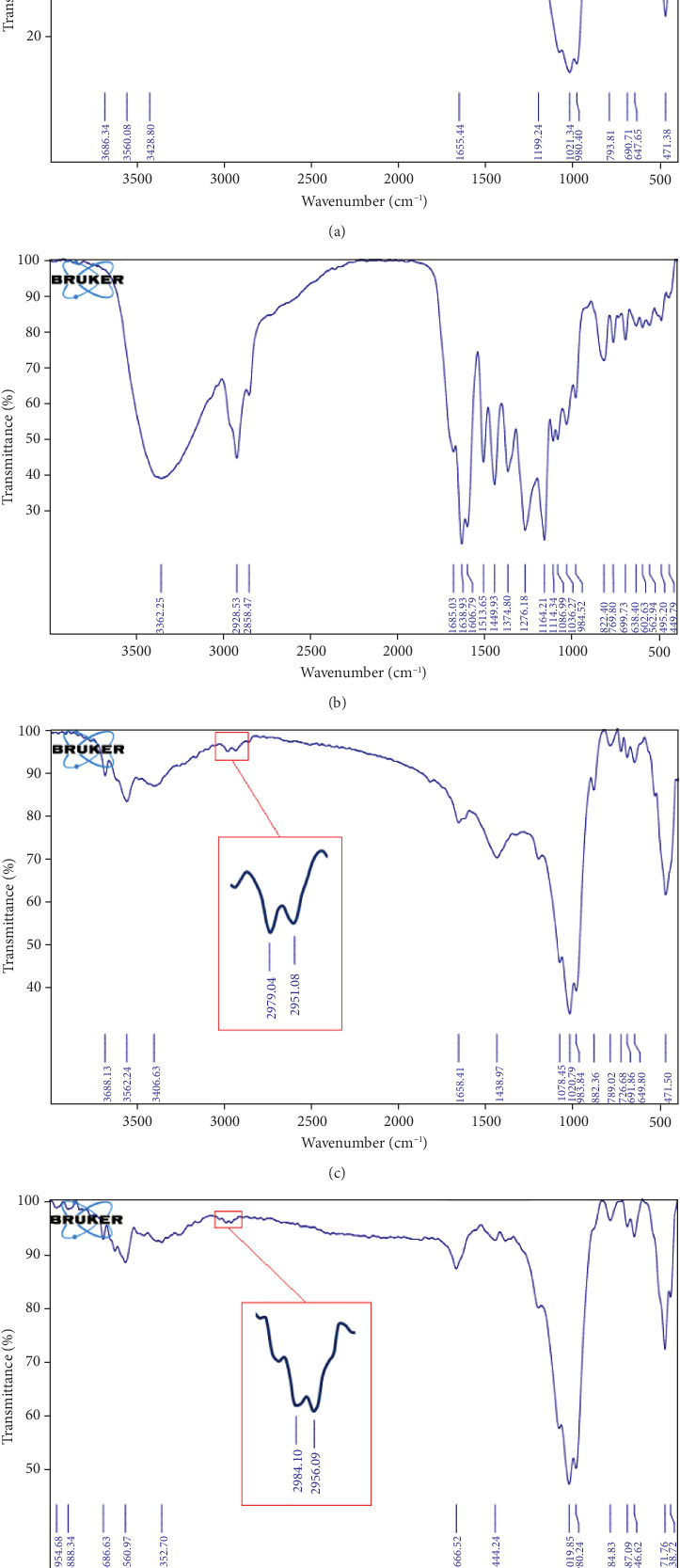 Synthesis of a Novel Sepiolite-Ag-Propolis Nanocomposite and Its Effect on the Growth of <i>Aspergillus flavus</i>.