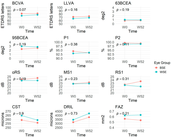 Characterizing the Preferred Retinal Locus and Fixation Stability in Diabetic Macular Ischemia: A One-Year Study.