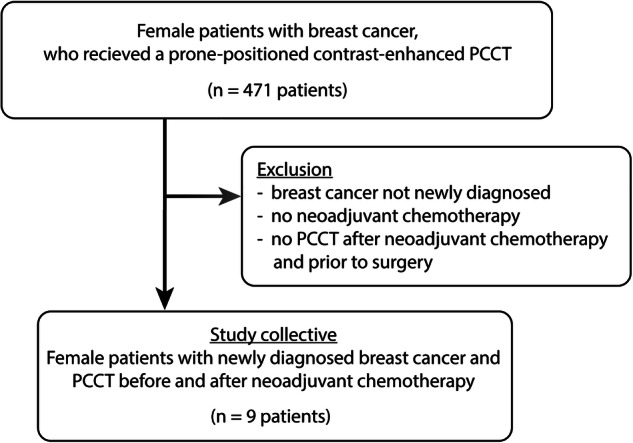 Breast cancer assessment under neoadjuvant systemic therapy using thoracic photon-counting detector computed tomography in prone position: a pilot study.