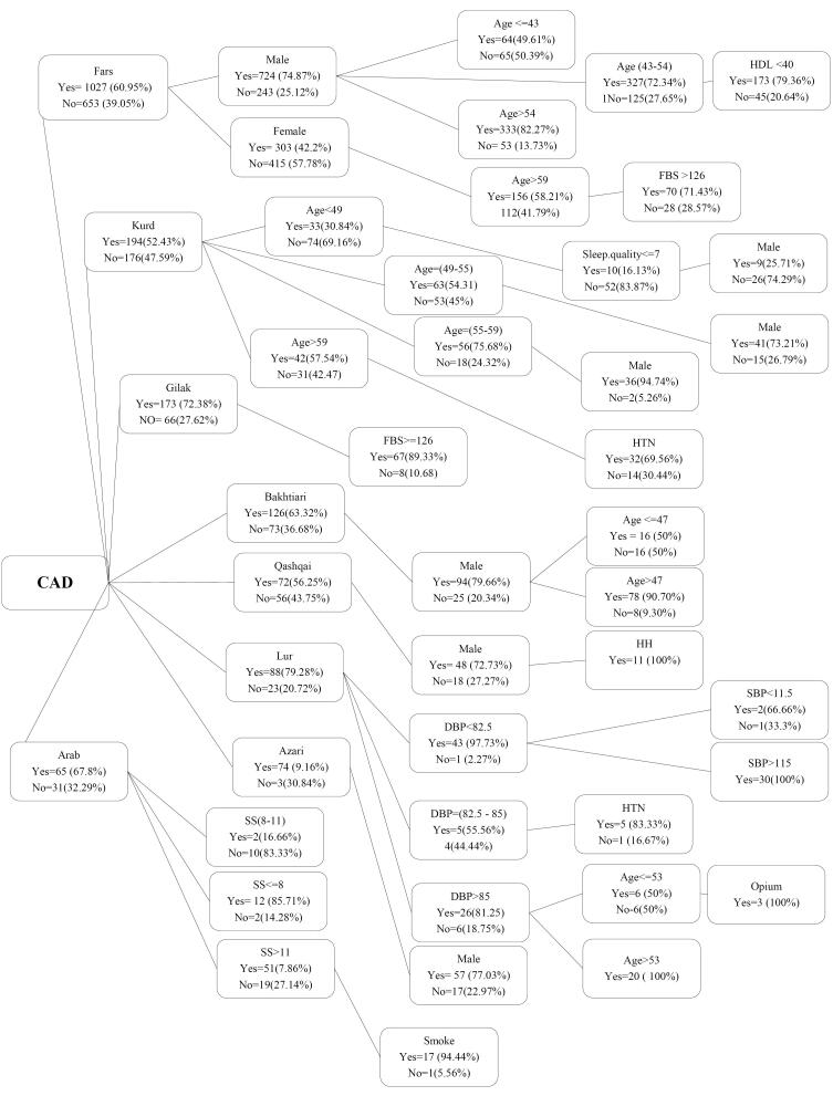 Investigating ethnic differences in risk factors and severity of developing premature coronary artery disease: Predicting the effect of risk factors through decision tree analysis in a multicenter case-control study; Results from Iran Premature Coronary Artery Disease (IPAD study).