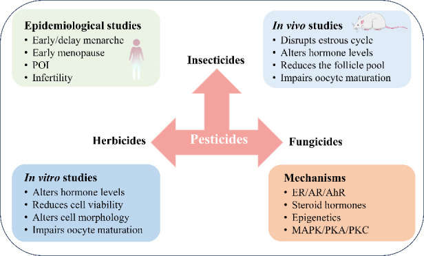 Adverse Effects of Pesticides on the Ovary: Evidence from Epidemiological and Toxicological Studies.