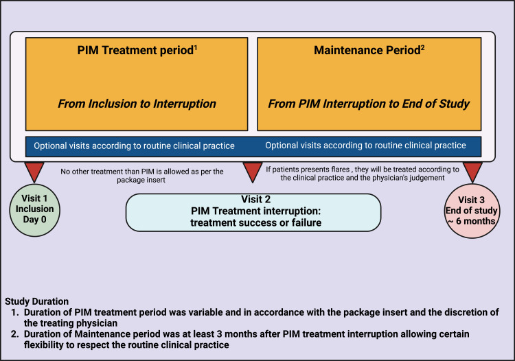 A Prospective Observational Study to Evaluate the Actual Use of 1% Pimecrolimus in Chinese Patients with Mild-to-Moderate Atopic Dermatitis Affecting Sensitive Skin Areas.