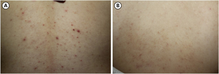 Abstract Image