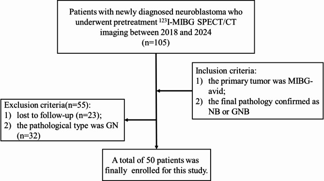 The prognostic significance of semi-quantitative metabolic parameters and tumoral metabolic activity based on <sup>123</sup>I-MIBG SPECT/CT in pretreatment neuroblastoma patients.