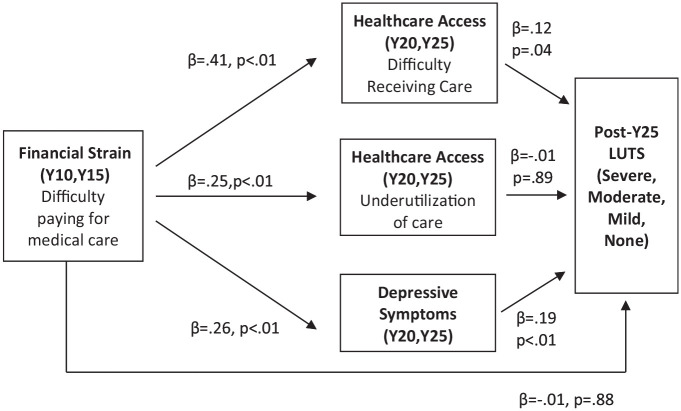 Financial Strain Across 25 years and Men's Lower Urinary Tract Symptoms: A Life Course Perspective.