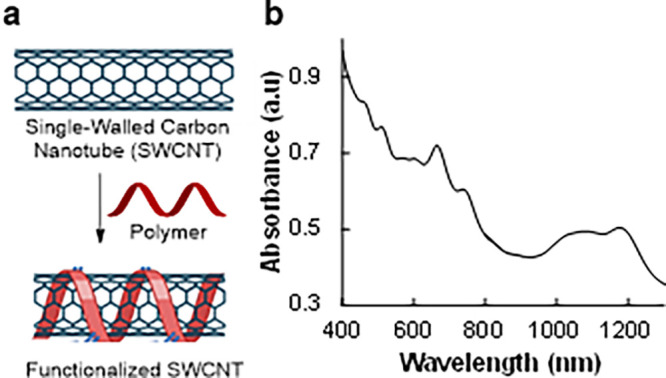 Effect of Polyelectrolytes on the Photoluminescence of Single-Walled Carbon Nanotubes-Experimental and Simulation Studies.