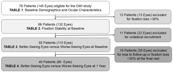 Characterizing the Preferred Retinal Locus and Fixation Stability in Diabetic Macular Ischemia: A One-Year Study.