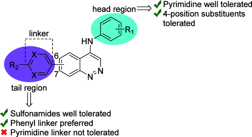 Identification of Substituted 4-Aminocinnolines as Broad-Spectrum Antiparasitic Agents.