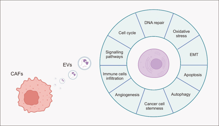Therapeutic Strategies for Drug-resistant Melanoma and Their Clinical Implications.