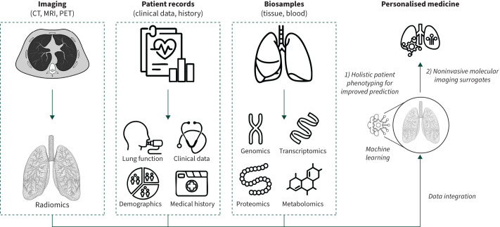 From images to clinical insights: an educational review on radiomics in lung diseases.