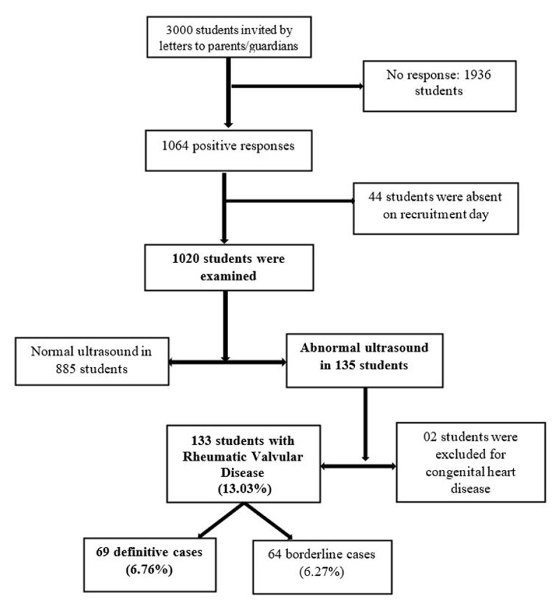 Rheumatic Valvulopathy in Sub-Saharan Africa: A Cross-Sectional Study of Cameroonian Urban Schools.