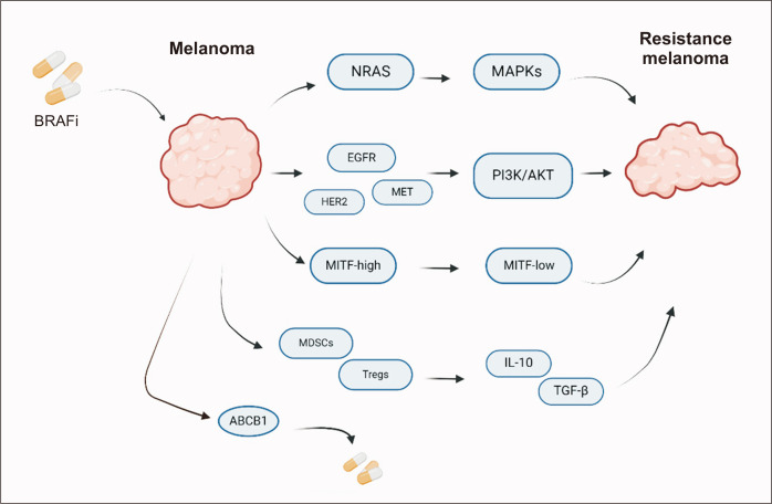 Therapeutic Strategies for Drug-resistant Melanoma and Their Clinical Implications.