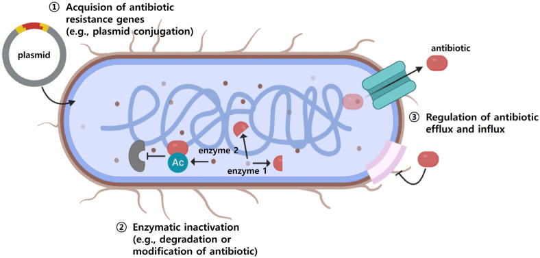 Antibiotic-Resistant <i>Salmonella</i> in Animal Products Jeopardize Human Health.