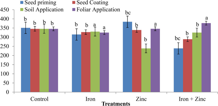 Enhancing zinc and iron biofortification in mungbean (Vigna radiata L.) through various application method.