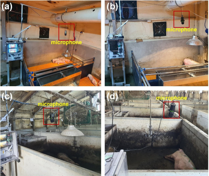 A review of sound-based pig monitoring for enhanced precision production.